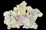 Beautiful, Amethyst Crystal Cluster - Las Vigas, Mexico #165624-1